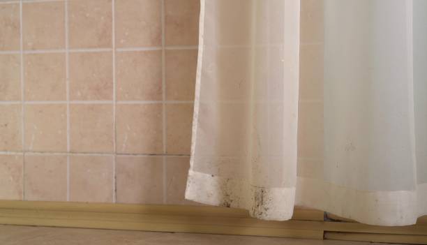 Best Indoor Air Quality Assessment  in Hawi, HI