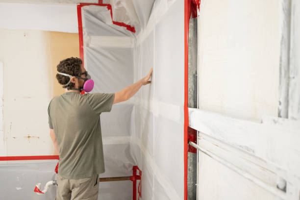  Hawi, HI Mold Removal Pros