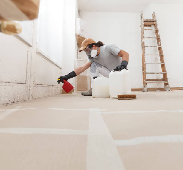 Best Mold Remediation for Healthcare Facilities  in Hawi, HI